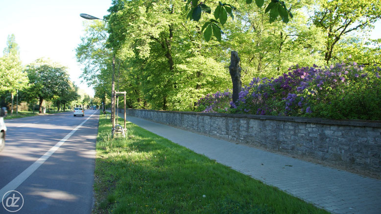 Kiefholzstraße | Foto: © Detlef Zabel