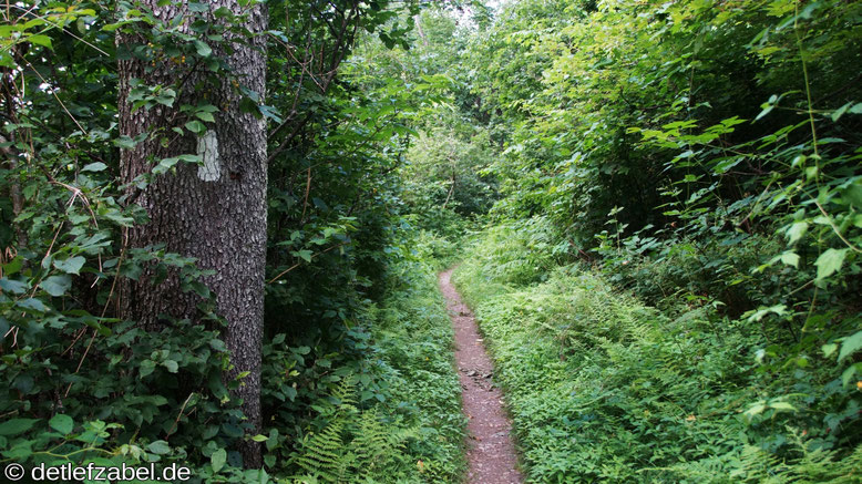 Appalachian Trail