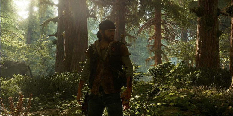 Days Gone: Sony hat offenbar den offiziellen Release-Termin zu dem PS4-Survival-Abenteuer verraten. Bilderquelle: Sony