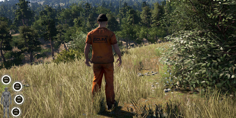 Die ersten Gameplay-Bilder zu Scum von Croteam im Blickpunkt. Bilderquelle: Devolver Digital 