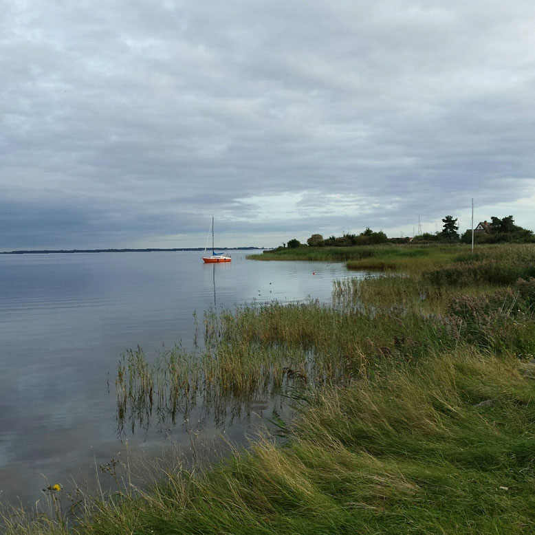 Christine Grandt: Hiddensee, Neuendorf, Bodden, Insel, Wasser, Urlaub, Boot