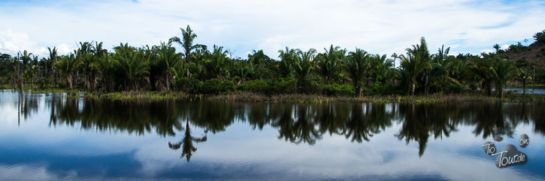 Brasilien - Richtung Porto Velho, das Überschwemmungsgebiet des Rio Madeira