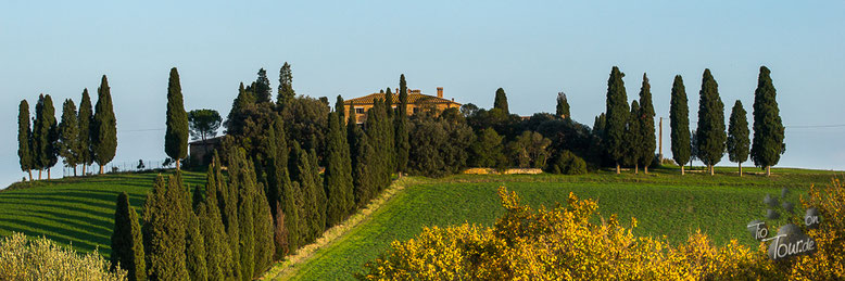 Toskana - Fattoria Poggio Manzuoli