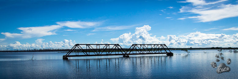 Brasilien - Richtung Porto Velho, das Überschwemmungsgebiet des Rio Madeira