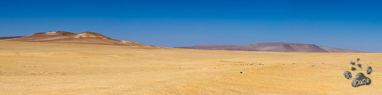 Peru - Nationalreservat Paracas