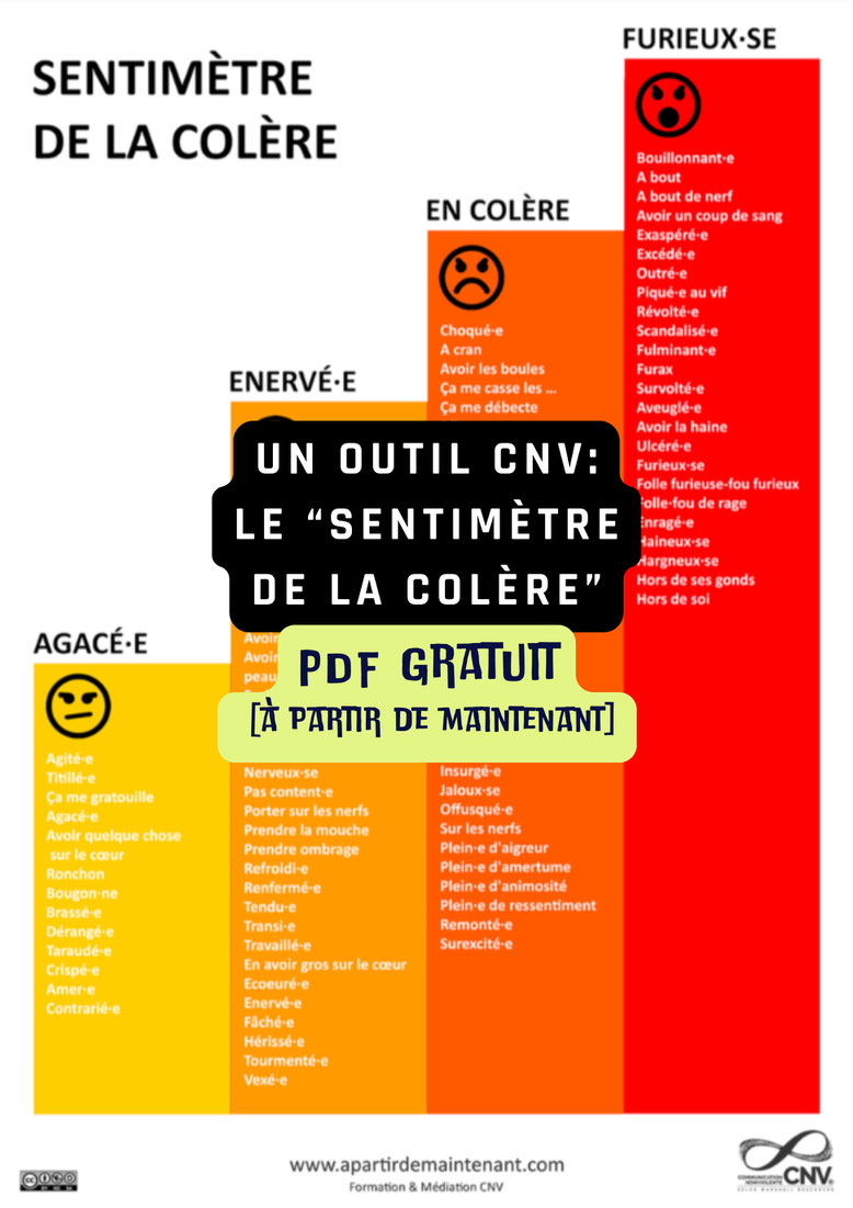 PDF gratuit CNV. Outil gratuit communication non violente à télécharger. OSBD. Marshall Rosenberg. Sentiments. Emotions. Colère. Régulation émotionnelle.