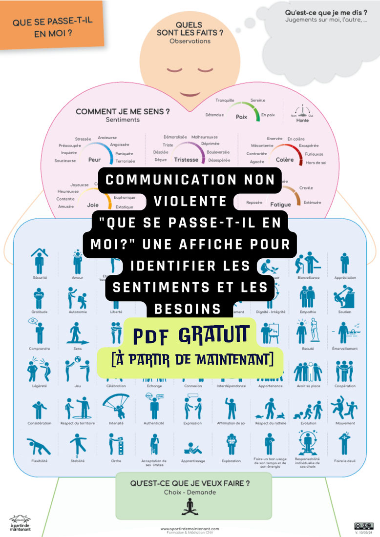Affiche CNV gratuite. PDF gratuit CNV. Outil gratuit communication non violente à télécharger. OSBD. Marshall Rosenberg. Sentiments. Emotions. Que se passe-t-il en moi?