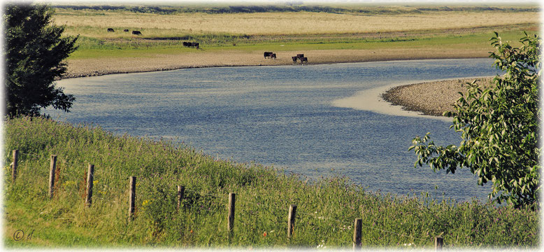 Eine Flusslandschaft (Maas)