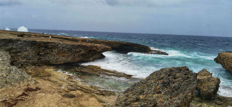 Karibik, Karibikreise, Backpacker, Backpacking, Zwei auf Achse, Travel the World, Westpund, Curacao, Meeresschildkröte, Willemstad, Punda, Otrabanda, Weltreise, Shete Boka Park, Boka Pistola, Boka Tabla, Boka Kalki, Boka Wandomi