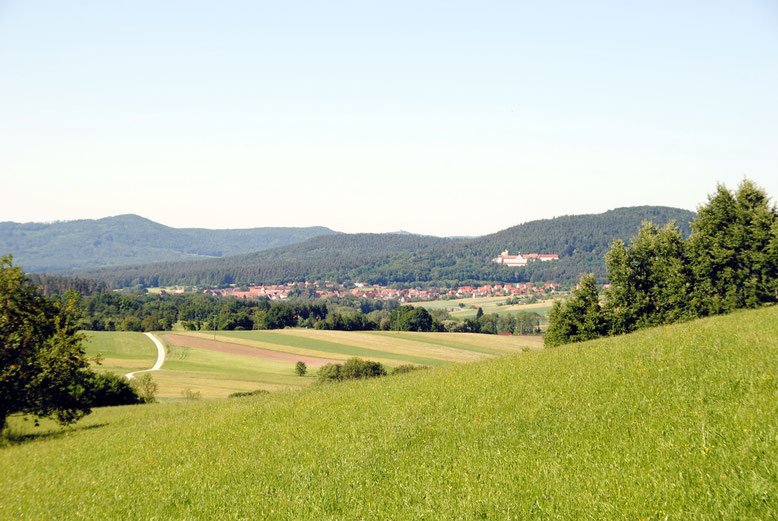 Das Bild der Kurklinik inmitten sanfter Waldberge steht beispielhaft für die wenigen bereits vorhandenen Therapieangebote in der erholsamen Naturlandschaft der östlichen Frankenalb.