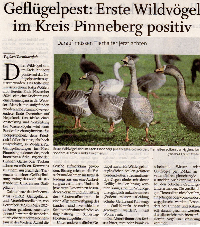 Wedel - Schulauer Tageblatt 23. Januar 2025