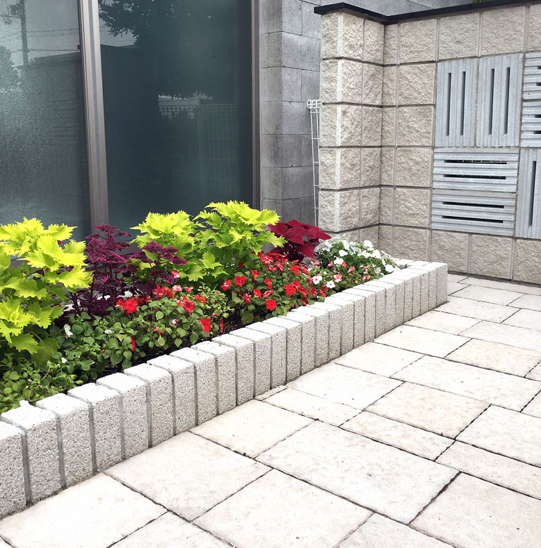 ☆ウェイクボード☆コンクリート 2025年最新】CONCRETE ウェイク