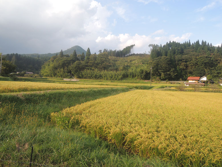 背後は、千屋のシンボル、剣山（けんざん）。