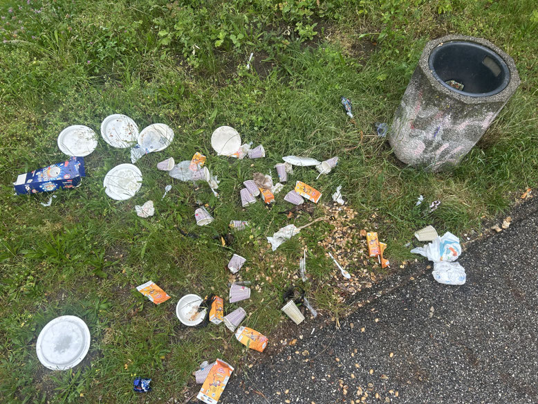 Eine Müllparty wie sie im Bilderbuch steht, heute im Herzberger Stadtpark entdeckt.