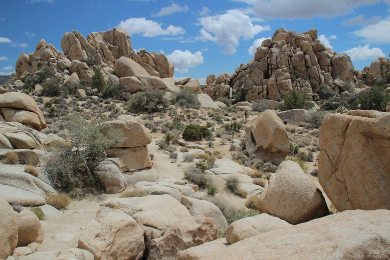 Joshua Tree National Park