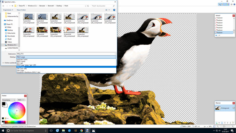 Motive freistellen mit Paint.NET