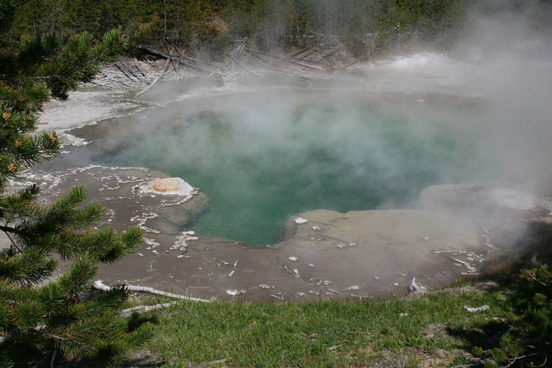 Yellowstone NP