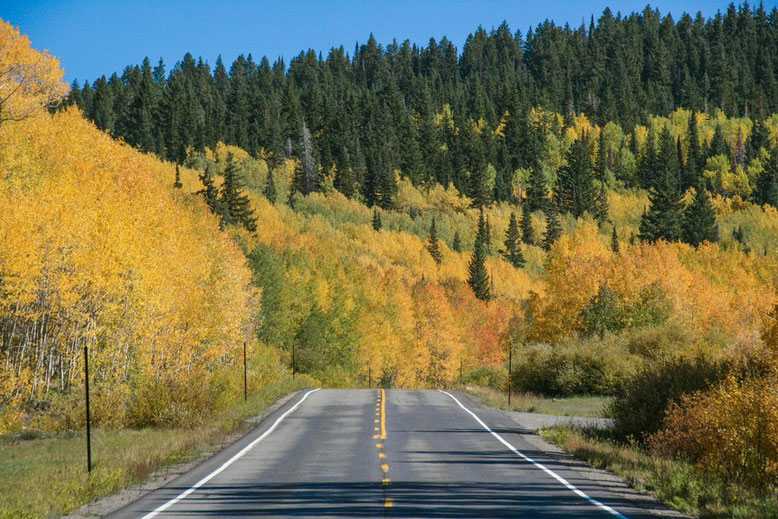 Scenic Byway Grand Mesa