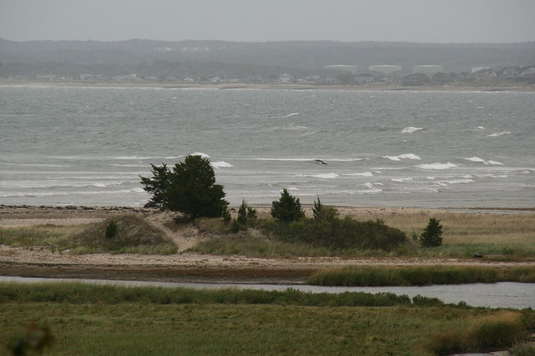 Ellisville Harbor State Park