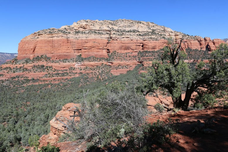 Sedona - Devils Bridge Trail