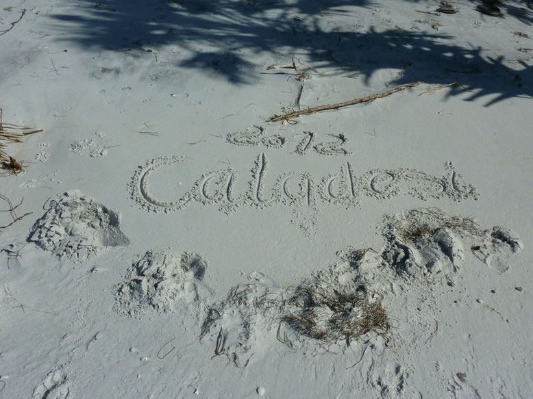 Caladesi Island