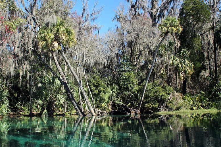 Rainbow Springs State Park