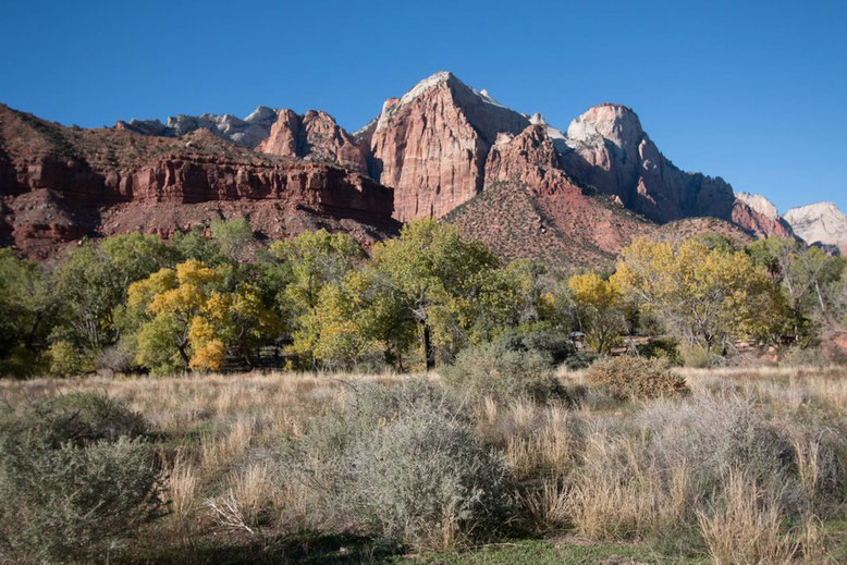 Zion NP - Watchman Trail