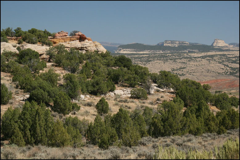 Echo Park Road, Dinosaur National Monument