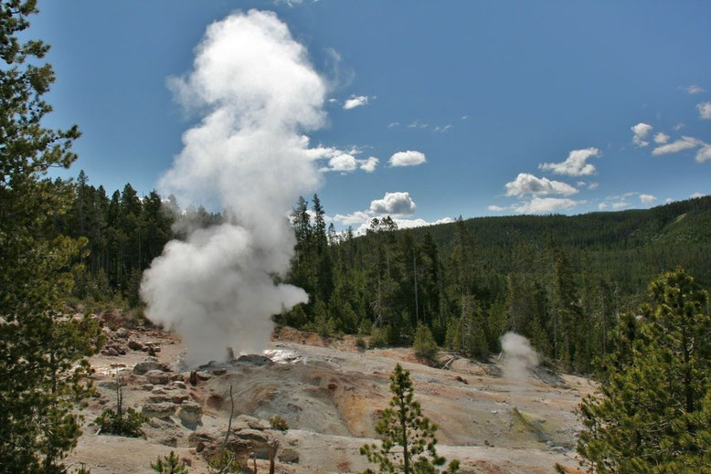 Yellowstone NP