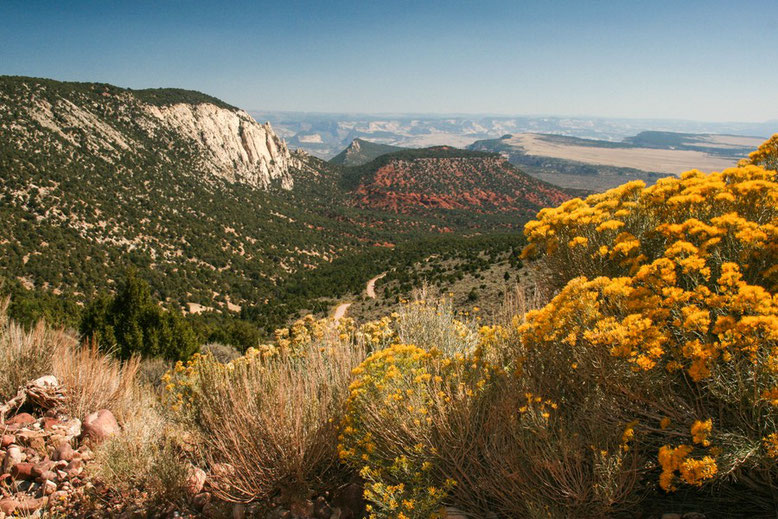 Echo Park Road, Dinosaur National Monument