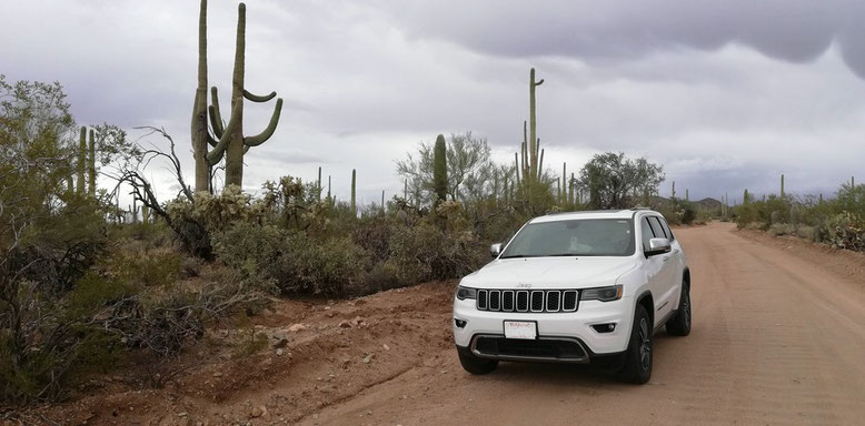 Saguaro National Park