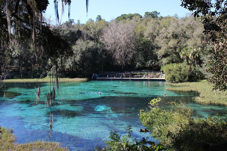 Rainbow Springs State Park