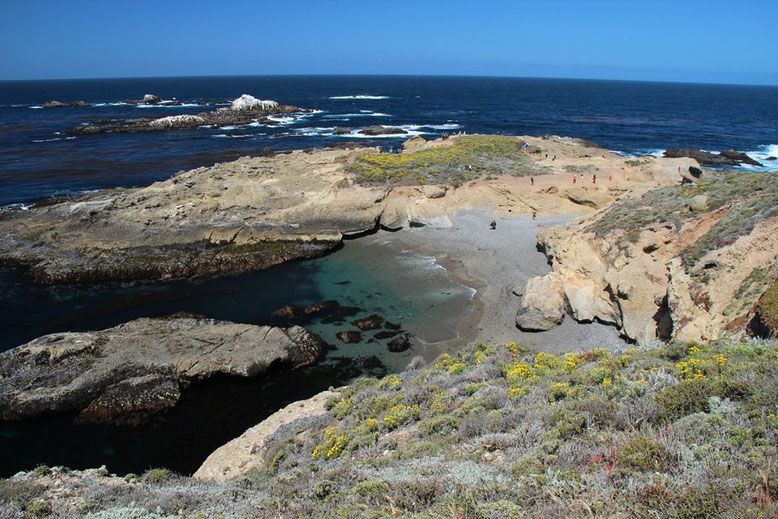 Point Lobos State Reserve, Highway 1