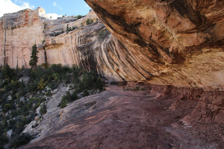 Sipapu Bridge Trail