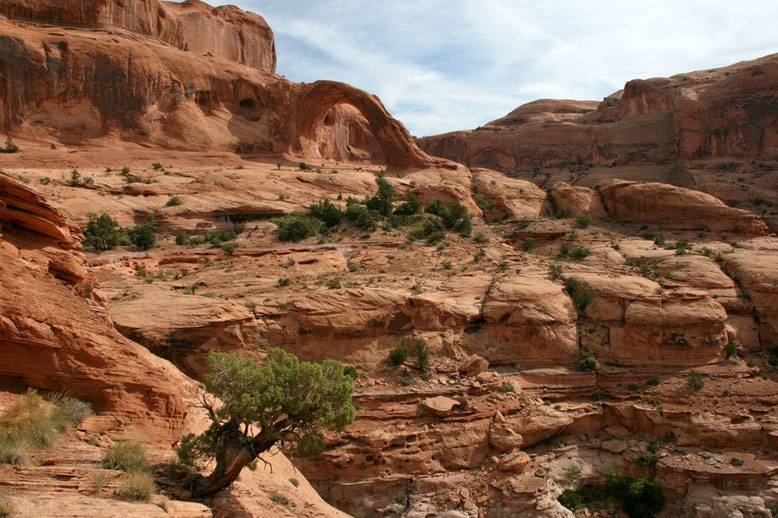Moab 2012