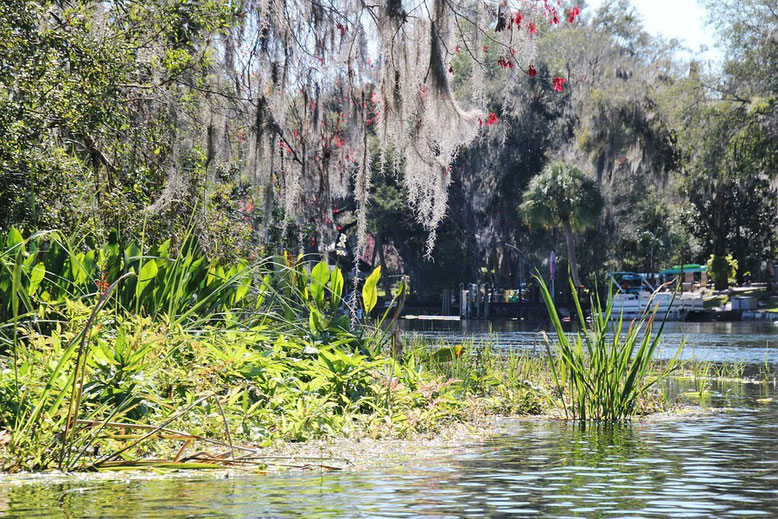 Rainbow Springs State Park