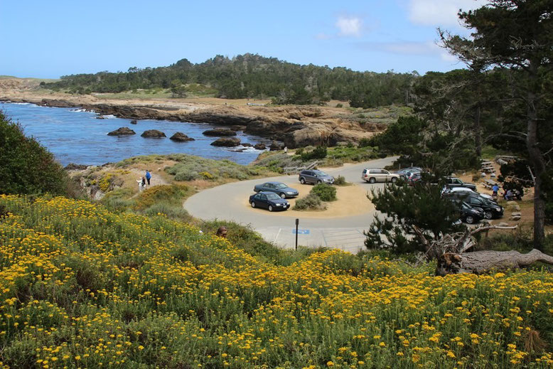Point Lobos State Reserve, Highway 1 