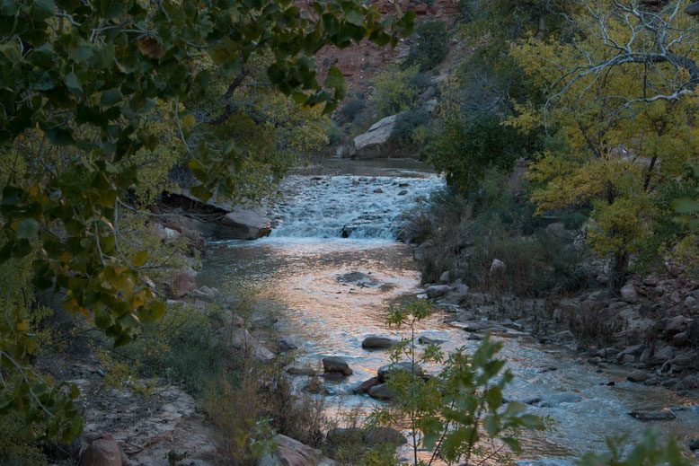 Zion NP - Pa'rus Trail