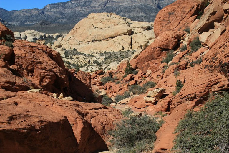 Red Rock Canyon, Calico Tanks Trail