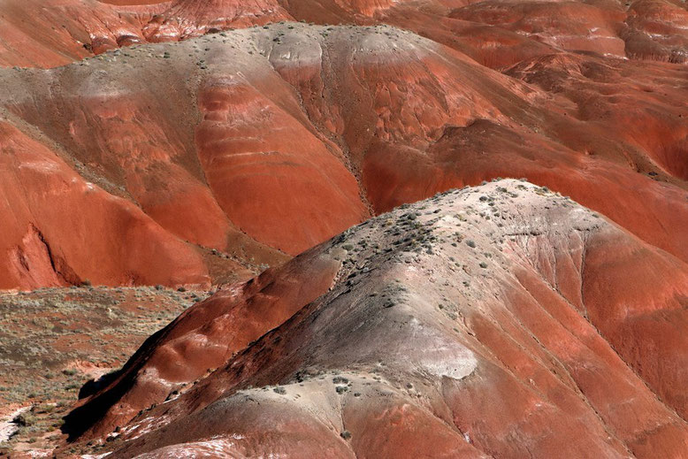 Petrified Forest - Painted Desert, Painted Desert Rim