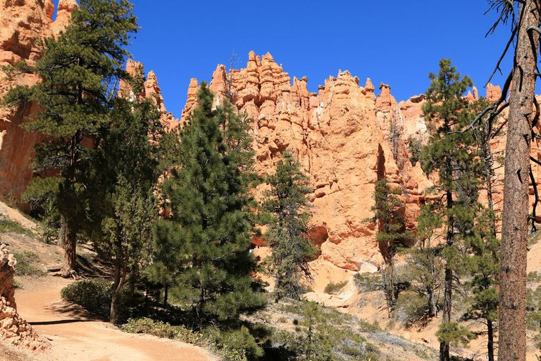 Bryce Canyon NP, Navajo Loop Trai