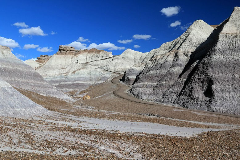 Petrified Forest - Painted Desert