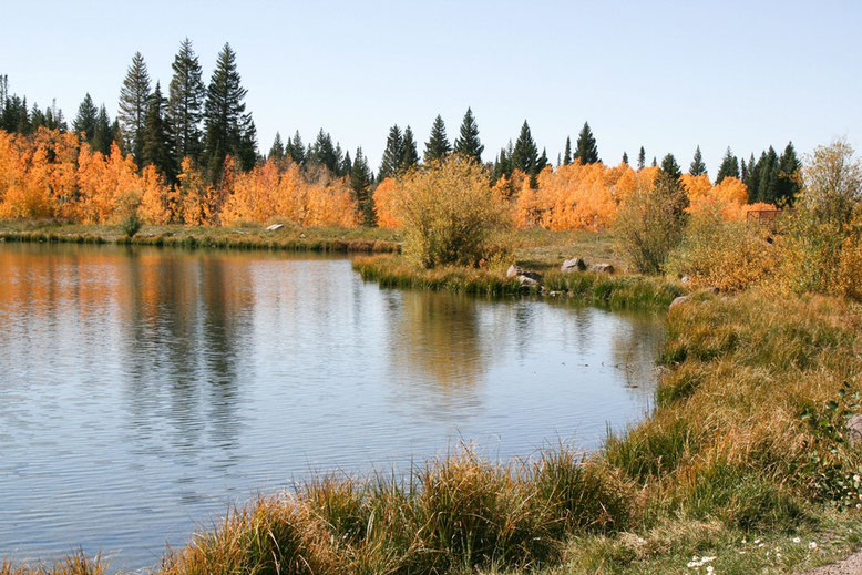 Scenic Byway Grand Mesa