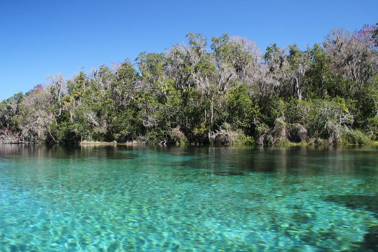 Rainbow Springs State Park