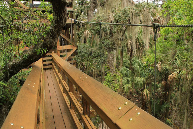 Myakka River State Park