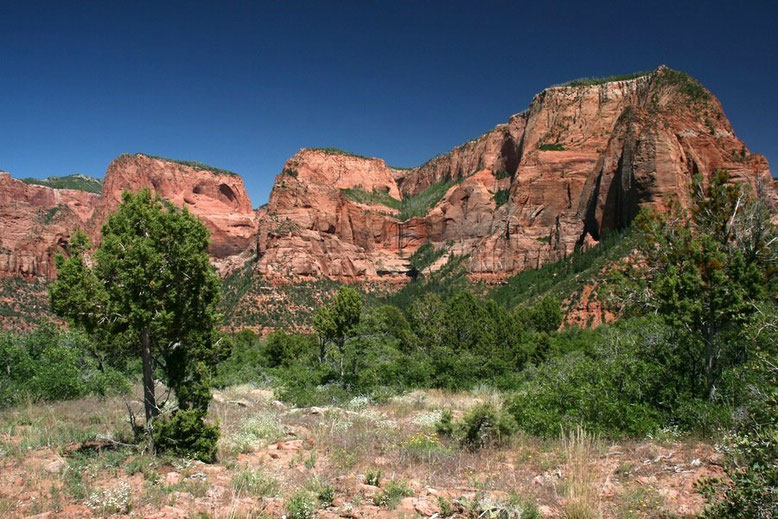 Kolob Canyon