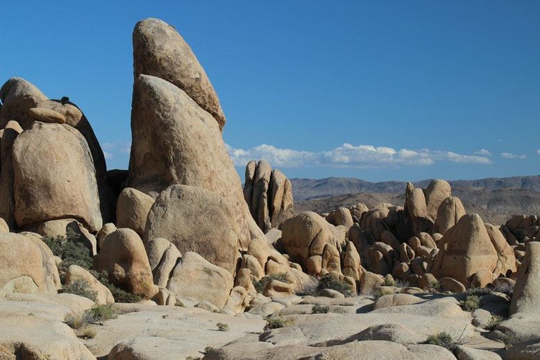 Joshua Tree National Park