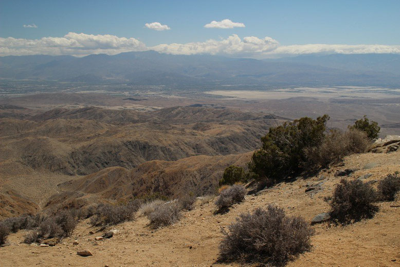 Joshua Tree National Park 