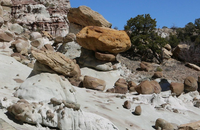 White Cliffs bei Gallup