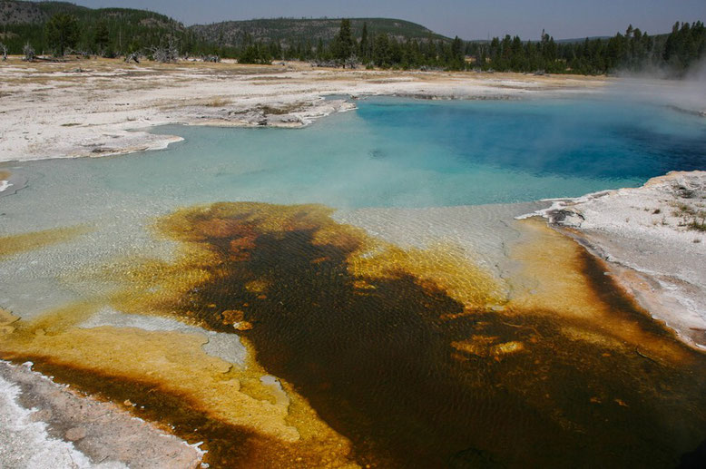 Yellowstone, Biscuit Basin  